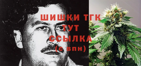 спиды Бородино