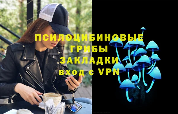 спиды Бородино