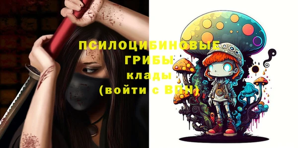 ешки Верея